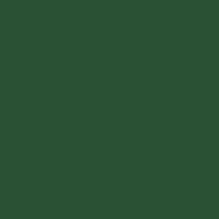 The ANCSR 2025 - Female Tee - Green Design
